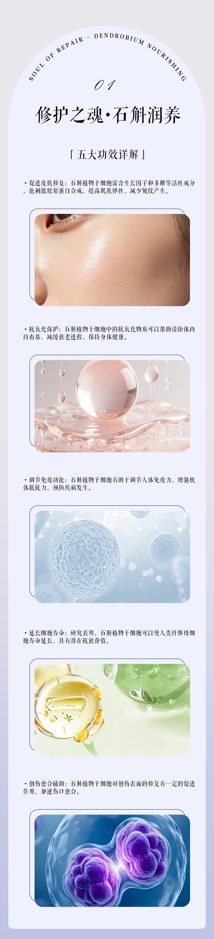 石斛煥顏瓷肌精華乳 Dendrobium Brightening Lotion（國內版）