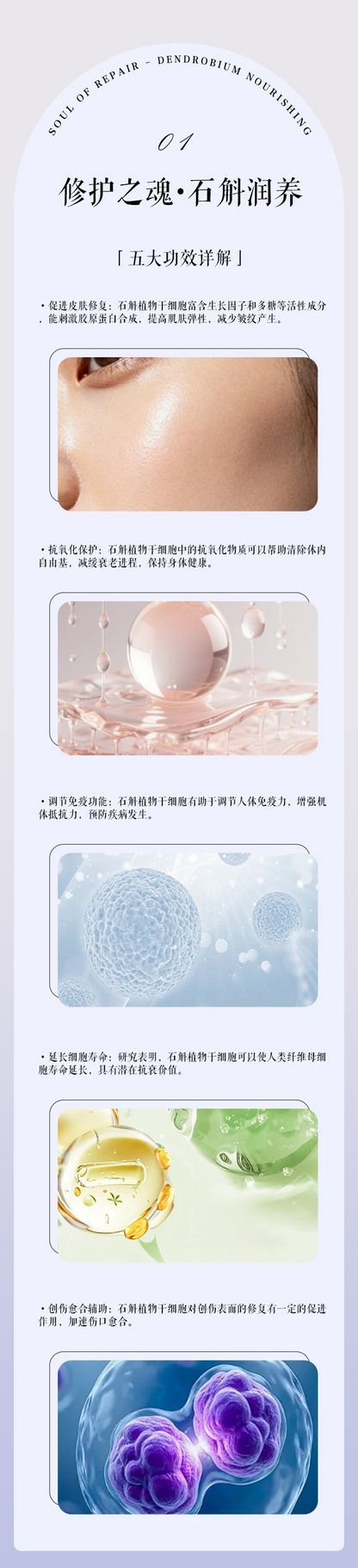 石斛煥顏瓷肌精華乳 Dendrobium Brightening Lotion（國內版）