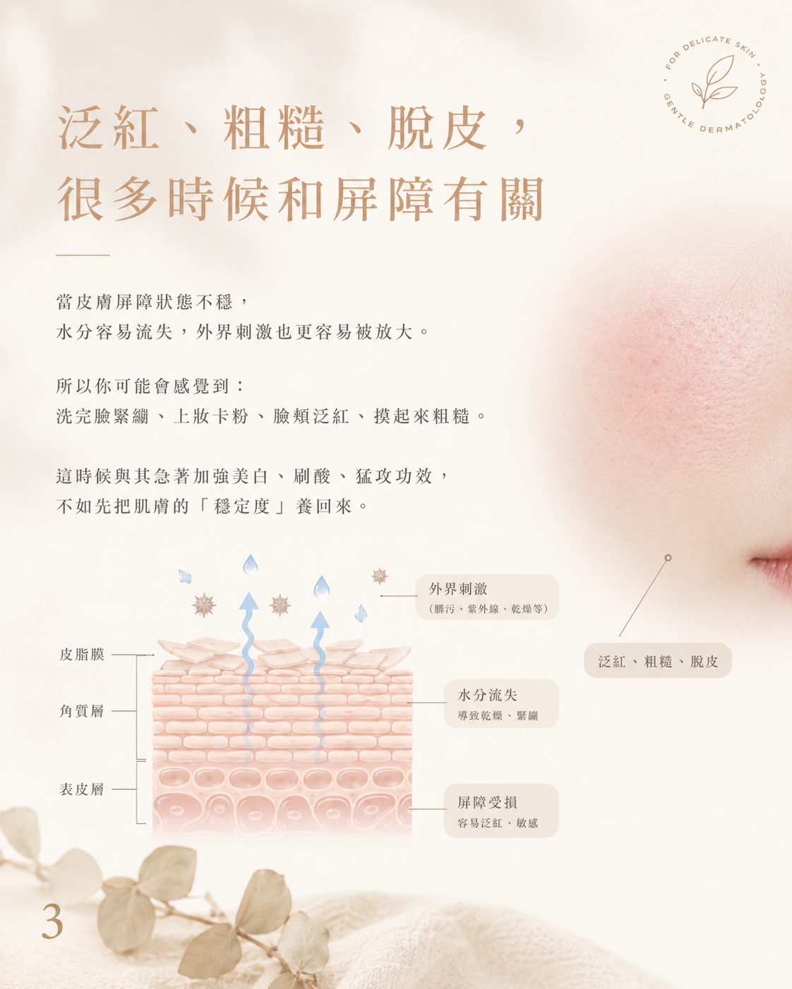 🌿 PURE 君漾・淨・煥活修護保濕精華 (全新港版升級配方)