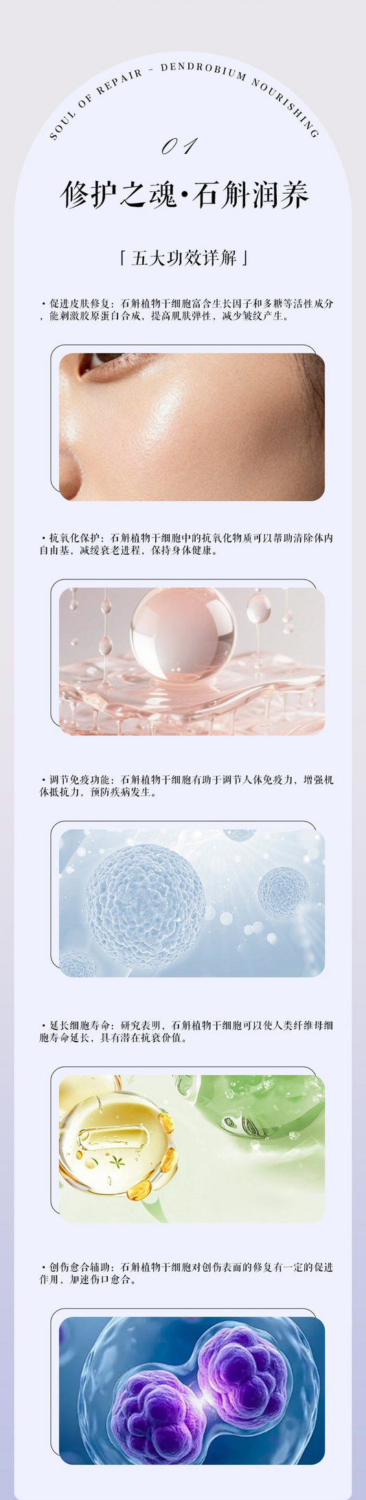 石斛煥顏透亮精華液 Dendrobium Rejuvenating Serum（國內版）