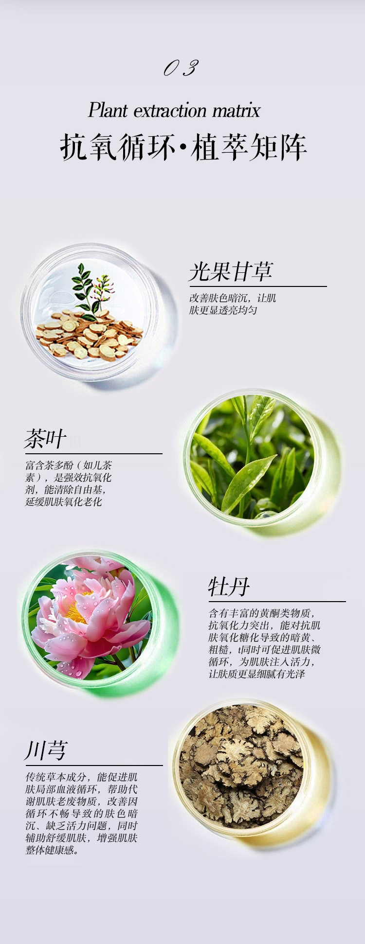 石斛煥顏透亮精華面霜 Dendrobium Rejuvenating Cream（國內版）